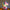 4890143606490,4890143606506