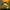 4890143606575,4890143606582