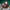 Xintean Santa Claus Ornaments Christmas Decorations Christmas Dolls Doll Ornaments